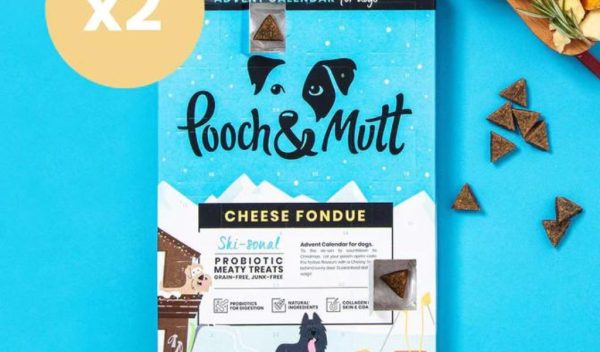 cheese fondue advent calendar bundle