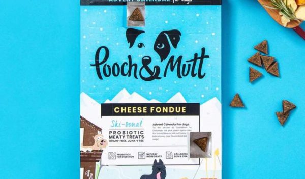 cheese fondue dog advent calendar